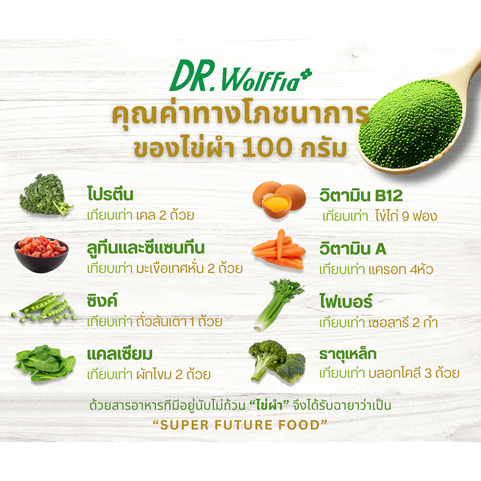 ไข่ผำอบแห้ง100% DR.Wolffia โรงเรือนได้รับมาตรฐาน GMP  ผลิตจากไข่ผำ 100% ผ่านการอบสุก ไม่ผสมสารกันเสีย มีทั้งแบบ บดละเ - รูปที่ 3