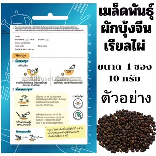 เมล็ดพันธ์ ผักบุ้งจีนเรียวไผ่ เจียไต๋