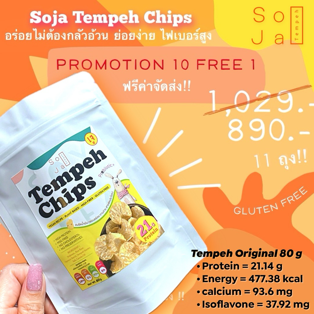 Soja Tempeh chips โปรตีนสูง