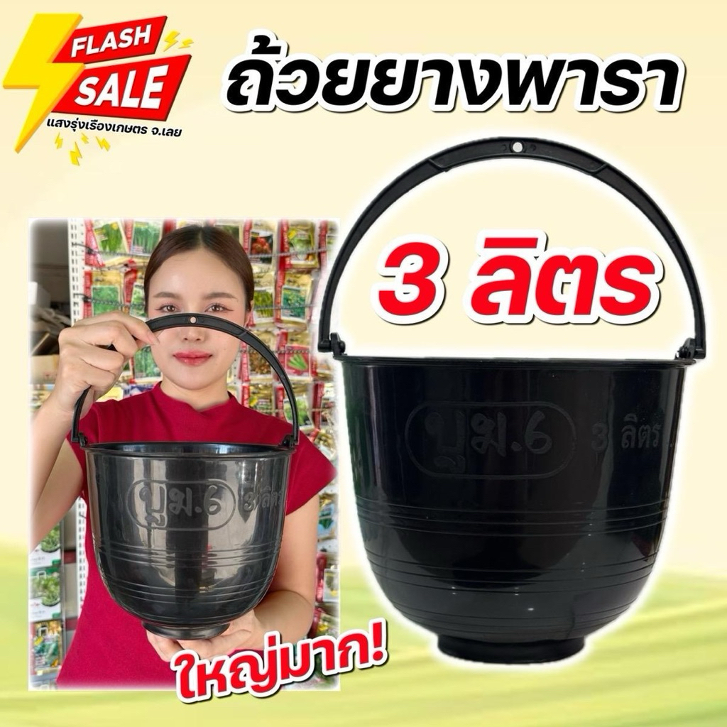 (100ใบ)ถ้วยยางพารา ขนาด 3 ลิตร
