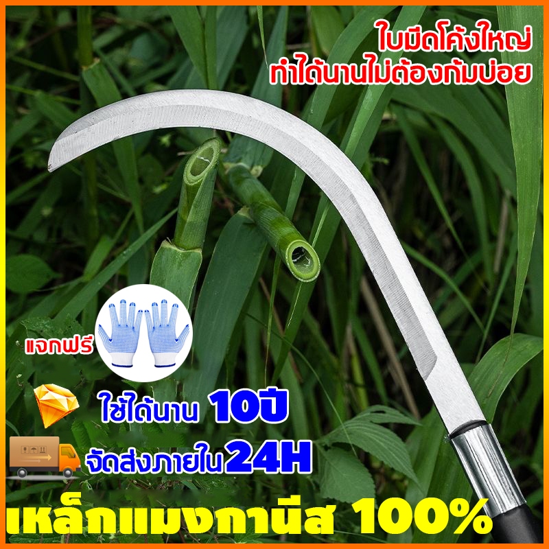 เคียวเกี่ยวหญ้า เคียวเหล็กแมงกานีส ตัดหญ้า ตัดต้นไม้ ด้ามยาว คมกริบ ใบมีดคม สองสไตล์ 40-60 ซม มีดถางหญ้า