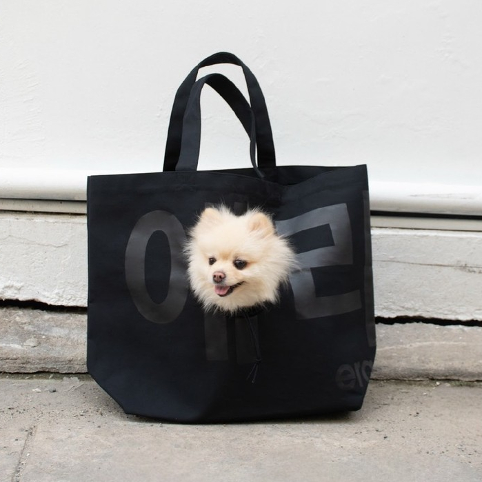 era-won กระเป๋าผ้า Jumbo tote dog (limited edition) KOREA BAG สี Black Dog Black