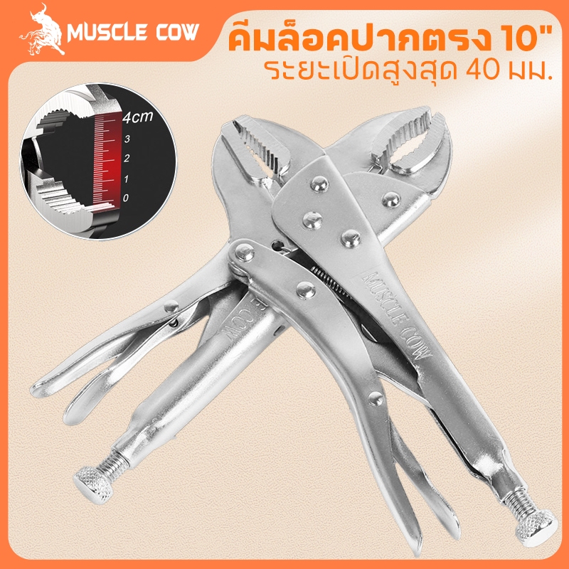 MUSCLE COW คีมล็อคของแท้ ขนาด 10 นิ้ว สำหรับงานหนัก ความแข็งแรงสูง ทนความร้อนได้ ได้สบาย ปากคีมกาง 45 มม.