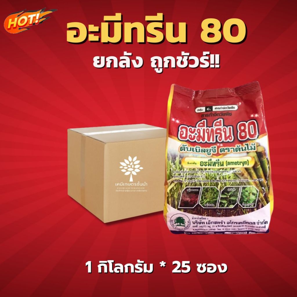อะมีทรีน 80 ดับเบิลยูจี (เอ็กซตร้า) - ยกลัง - (ขนาด 1 กิโลกรัม * 25 ซอง) = ชิ้นละ 260 บาท
