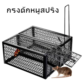 MUSCLE COW กรงดักหนูสปริง2ตัวโครงหนา กรงดักหนู กรงดักหนูแบบมีโครง