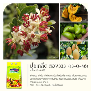 ตอง333 1กิโลกรัม (13-0-46) ลมเบ่ง เร่งดอก ดึงช่อ เพิ่มแป้ง เพิ่มขนาดและสีสัน
