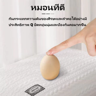 หมอน หมอนหนุน ต้านแบคทีเรีย ป้องกันไรฝุ่น ผ้าฝ้ายถัก หมอนนอนสบาย โพลีเอสเตอร์ Pillow