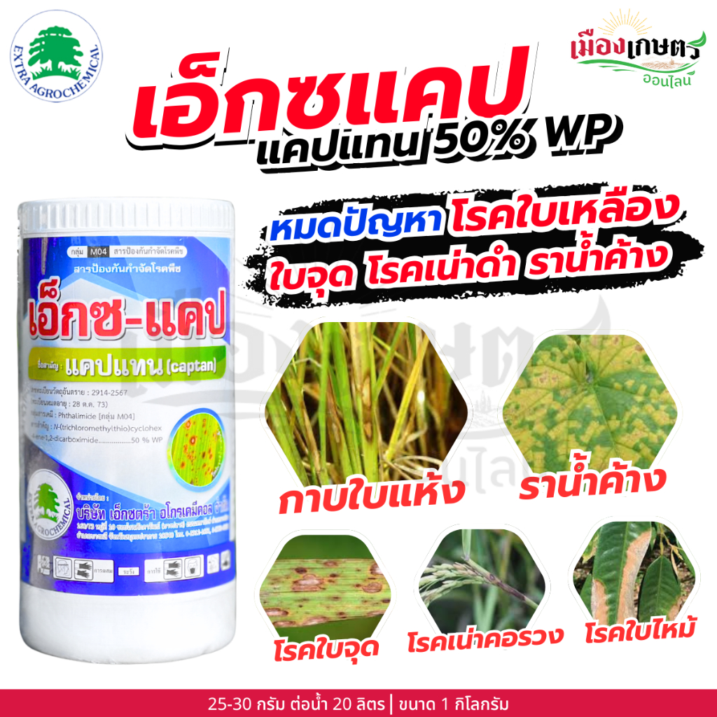 เอ็กซแคป แคปแทน 50% WP 1 กิโลกรัม ป้องกัน รักษา โรคใบเหลือง ใบจุด ราน้ำค้าง ราสนิม ราขาว ใบแห้ง ใบจุด เอ็กซตร้า