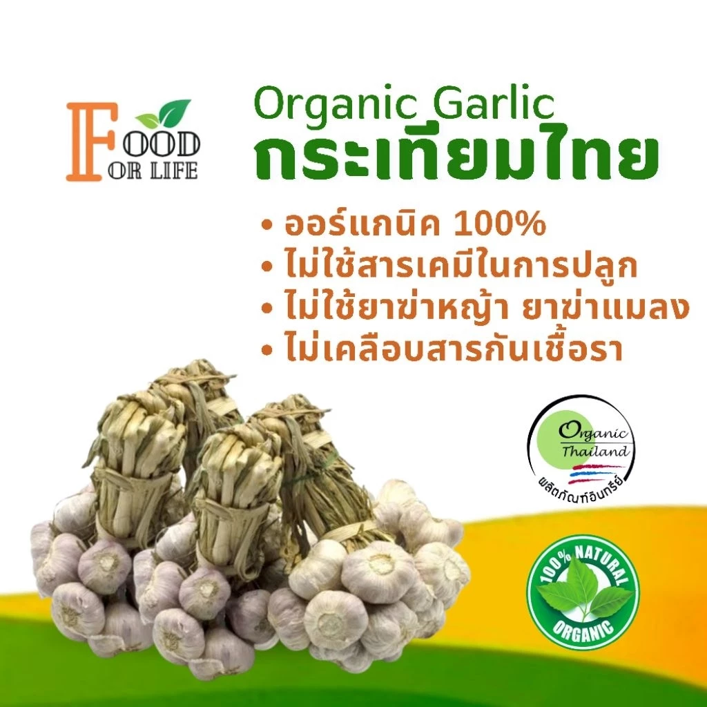 กระเทียมไทย ออร์แกนิค มาตรฐานเกษตรอินทรีย์ ปลอดภัย 100% รสเผ็ดแบบธรรมชาติ สรรพคุณเป็นยาอายุวัฒนะ ทานอาหารเป็นยาดีที่สุด