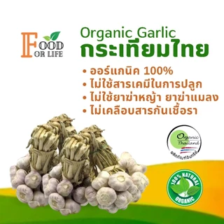 กระเทียมไทย ออร์แกนิค มาตรฐานเกษตรอินทรีย์ ปลอดภัย 100% รสเผ็ดแบบธรรมชาติ สรรพคุณเป็นยาอายุวัฒนะ ทานอาหารเป็นยาดีที่สุด