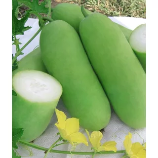 เมล็ดพันธุ์ เมล็ดเเฟง 20 เมล็ด [10 เเถม 1คละได้ ]