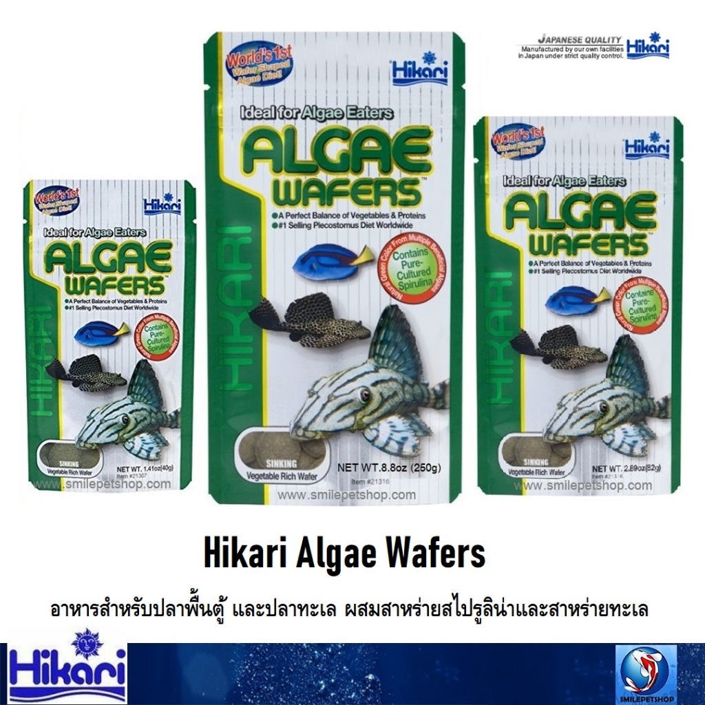 Hikari Algae Wafers (อาหารจากญี่ปุ่น สำหรับปลาพื้นตู้ และปลาทะเล สูตรผสมสาหร่าย)