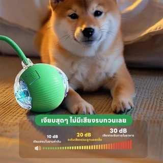 yoyopet : Rolling ball ลูกบอลอัตโนมัติ ของเล่นหมา แมว เล่นสนุก คลายเครียด รุ่นชาร์จไฟ สายUSB
