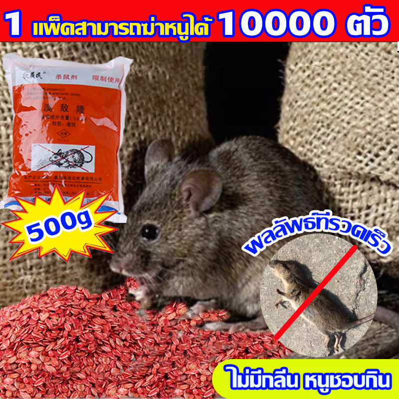 อัพเกรดใหม่ยากำจัดหนู ตายแห้ง500gไม่เหม็น ยาเบื่อหนูตาย ยาฆ่าหนู เหยื่อกำจัดหนู ยา เยื่อ หนู ยาเบื่อสัตว์ทุกชนิด