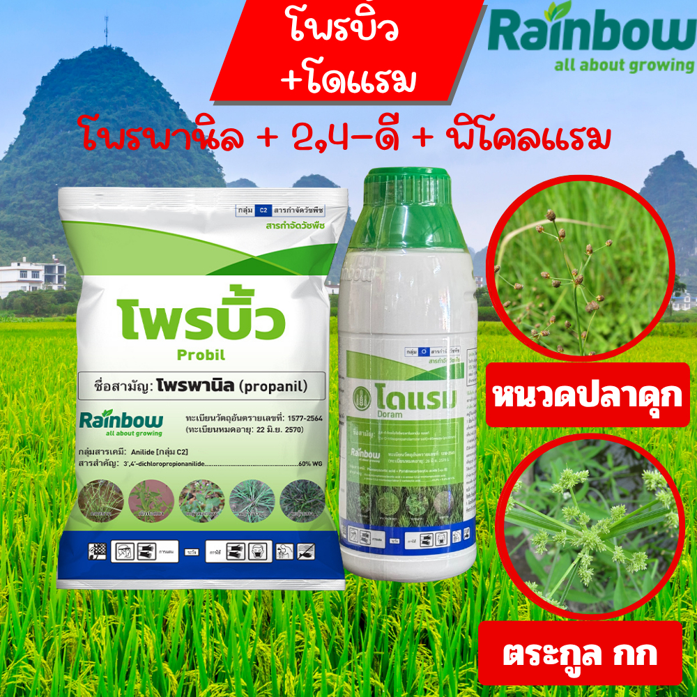 โดแรม+โพรบิ้ว (2,4-ดี-ไตรไอโซโพรพาโนลามีน ซอลต์ + พิโคลแรม + โพรพานิล) 1 ชุด 5-10 ไร่