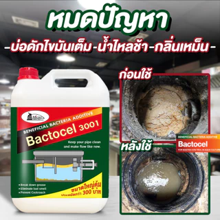 Bactcel 3001 5 ลิตร* กำจัดกลิ่นเหม็นส้วม ท่อตัน กำจัดไขมันบ่อดัก กำจัดกลิ่นเหม็น ละลายไขมัน แบคโตเซล
