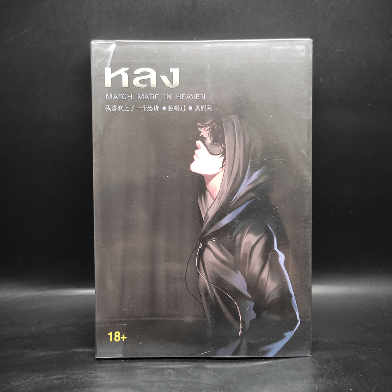 นิยายวาย หลง Match Made in Heaven - She Xie Jun 🏷️1092615