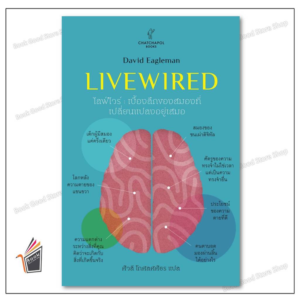 หนังสือLivewired ไลฟ์ไวร์ เบื้องลึกของสมองที่ฯ บจ.ชัชพลบุ๊คส์