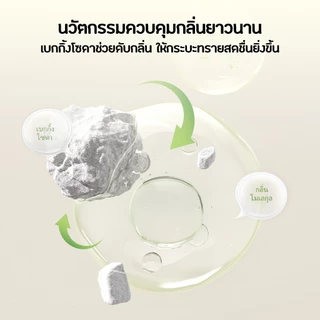 PETKIT Natural Cat Litter ทรายแมวผสมเต้าหู้และมันสำปะหลัง จับตัวเป็นก้อนได้ดีเยี่ยม ส่วนผสมจากธรรมชาติ 100% ปราศจากฝุ่น