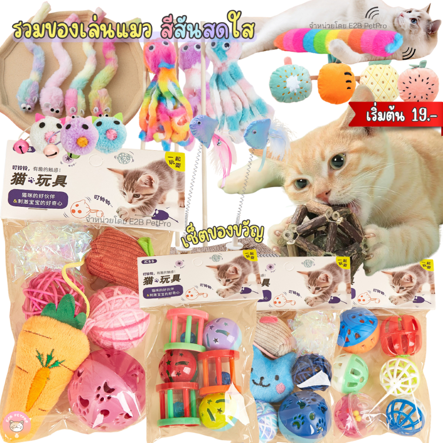 รวมของเล่นแมว สีสันสดใส ของเล่นแมว พร้อมเซ็ตของขวัญ B067