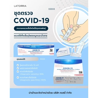 ชุดตรวจโควิด ATK Singclean 2in1 Antigen Test Kit 1กล่อง 20เทส กล่องเขียว แบบก้านยาว ATK ตรวจโควิด