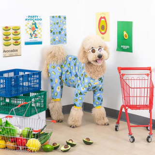 ชุดกันขนร่วง ชุดเก็บขน คอลเลคชั่น Veggies Protection Suit | CLAWSET.BKK
