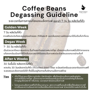 [New] Seasonal Blend เมล็ดกาแฟเบลนคั่วกลาง สู้นม โทน Lemon Caramel Hazelnut | MOTMOT COFFEE