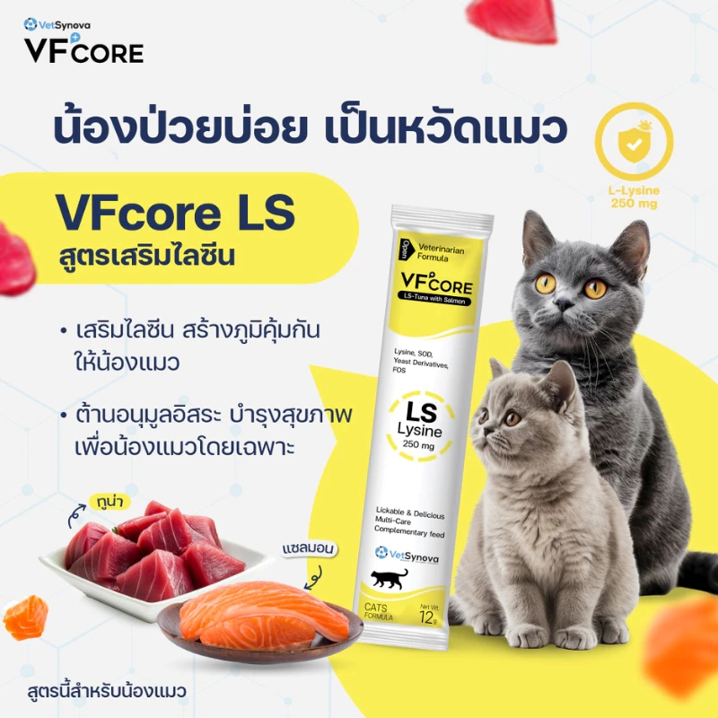 VF+ CORE LS สีเหลือง สูตรใหม่ (1 กล่อง มี 30 ซอง) Lysine ช่วยกระตุ้นและเสริมภูมิคุ้มกันในแมว