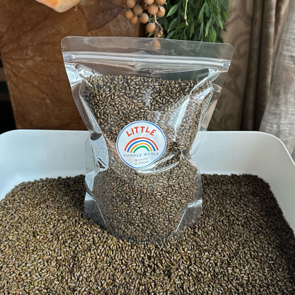 พร้อมส่ง🇹🇭 เมล็ด Cassia Seedสำหรับกิจกรรม Sensory Play 700g