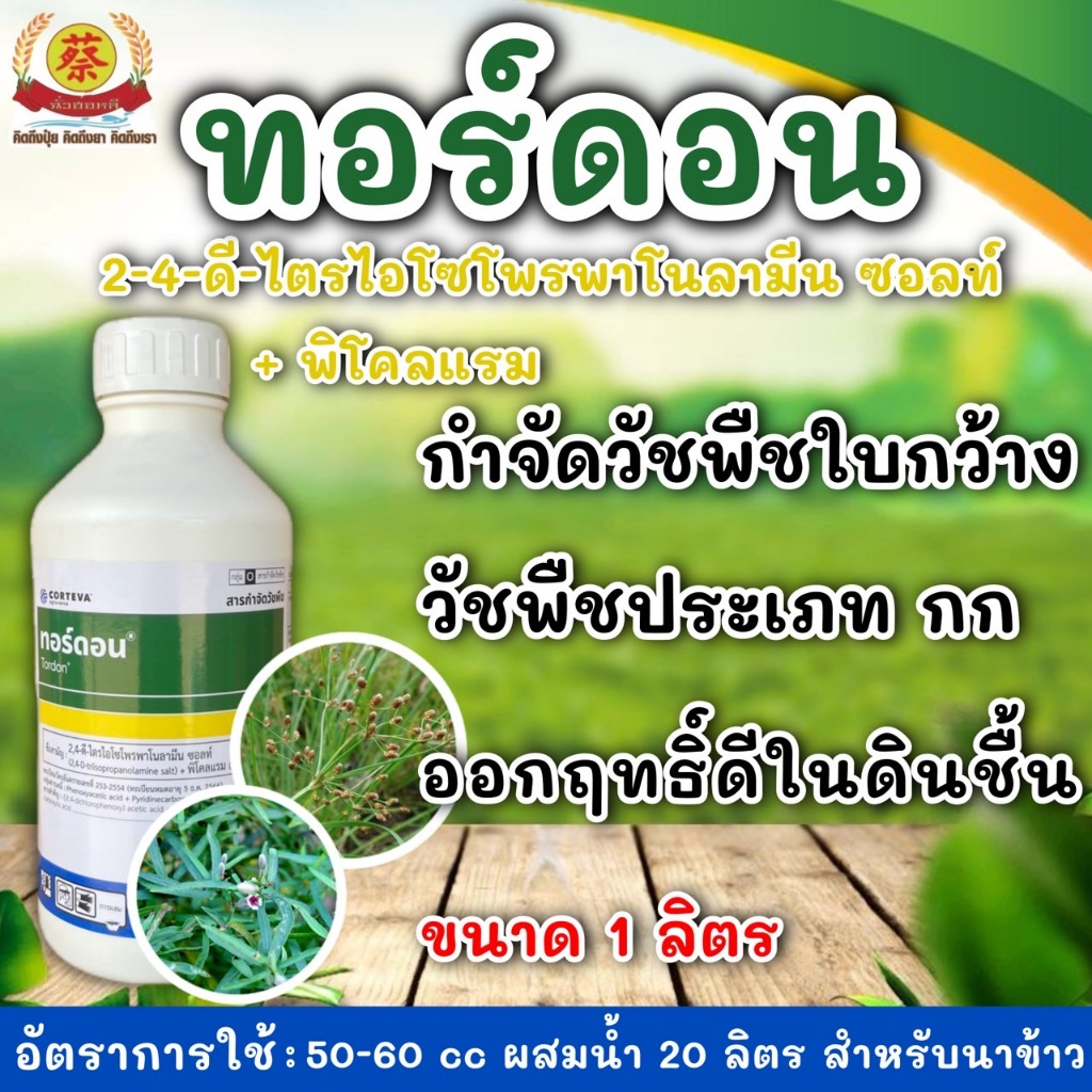 ทอร์ดอน 101 กำจัดวัชพืชใบกว้างเครือเถาวน์โสนหญ้ายางแห้วหมู  1ลิตร