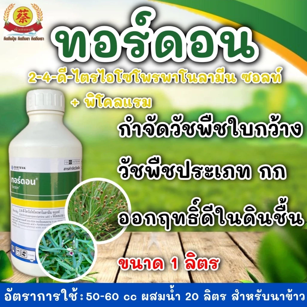 ทอร์ดอน 101 กำจัดวัชพืชใบกว้างเครือเถาวน์โสนหญ้ายางแห้วหมู 1ลิตร
