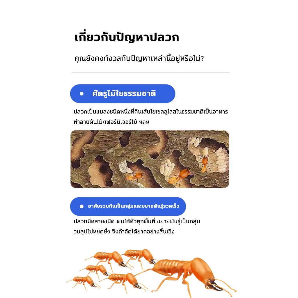 🔥ก็แก้ปัญหาปลวกได้🔥ยากําจัดมด ยาฆ่าปลวก กําจัดปลวก ปลวก กำจัดและป้องกันในหนึ่งเดียว 625ML กำจัดปลวกได้อย่างรวดเร็ว - รูปที่ 2