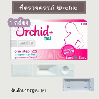 💛 ที่ตรวจครรภ์ ที่ตรวจท้อง HCG ตรวจตั้งครรภ์ ฟีแคร์ Phecare มาตรฐาน อย.