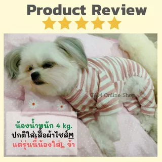 ชุด 4ขา สัตว์เลี้ยง ชุดสี่ขา ลายขวาง ผ้ายืด นุ่มสบาย ใส่ได้ทั้งน้องหมาน้องแมว พร้อมส่งในไทย