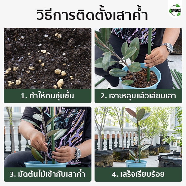 SGE เสาค้ำต้นไม้ ไม้ค้ำต้นไม้ ไม้ค้ำยันต้นไม้ รุ่น GSP ท่อเหล็กเคลือบ กันน้ำ กันสนิม แพ็ค 5 ชิ้น - รูปที่ 2