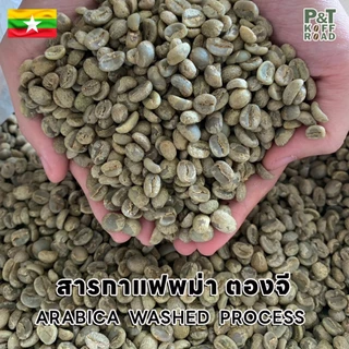 [💥กระสอบ 5 kg💯] พม่า ตองจี Myanmar Wash Process . P&T KoffRoad . สั่งซื้อเกิน 20kg ทักแชท