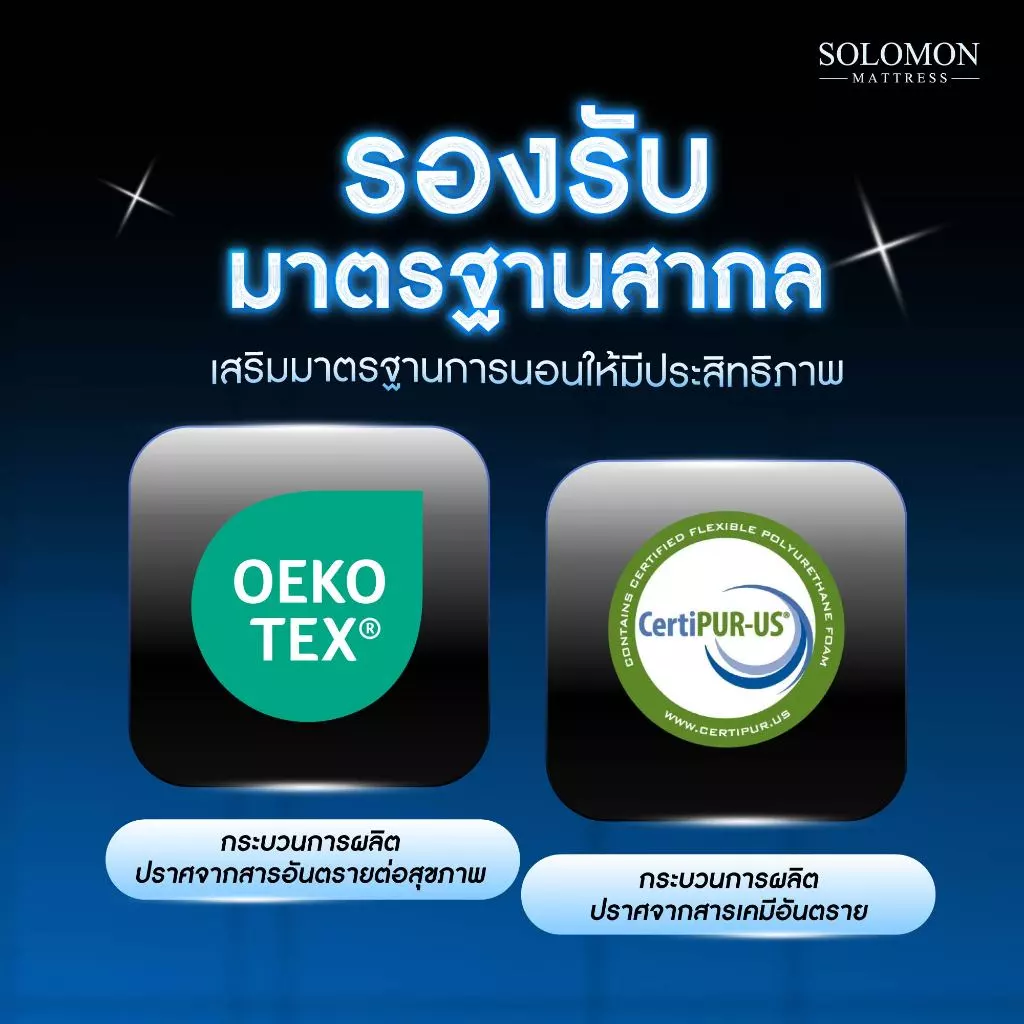 Solomon ที่นอนพ็อกเก็ตสปริง 7 โซน รุ่น Babe หนา 9 นิ้ว thumbnail 6