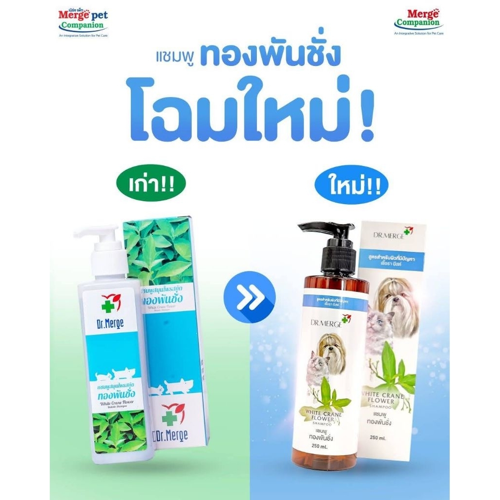 Dr.Merge ทองพันชั่ง กำจัดเชื้อรา 250ml.