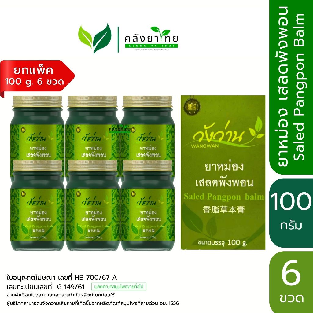 [แพ็ค 6 ขวด] Wangwan Brand ยาหม่องเสลดพังพอน ตราวังว่าน ขนาด100 กรัม
