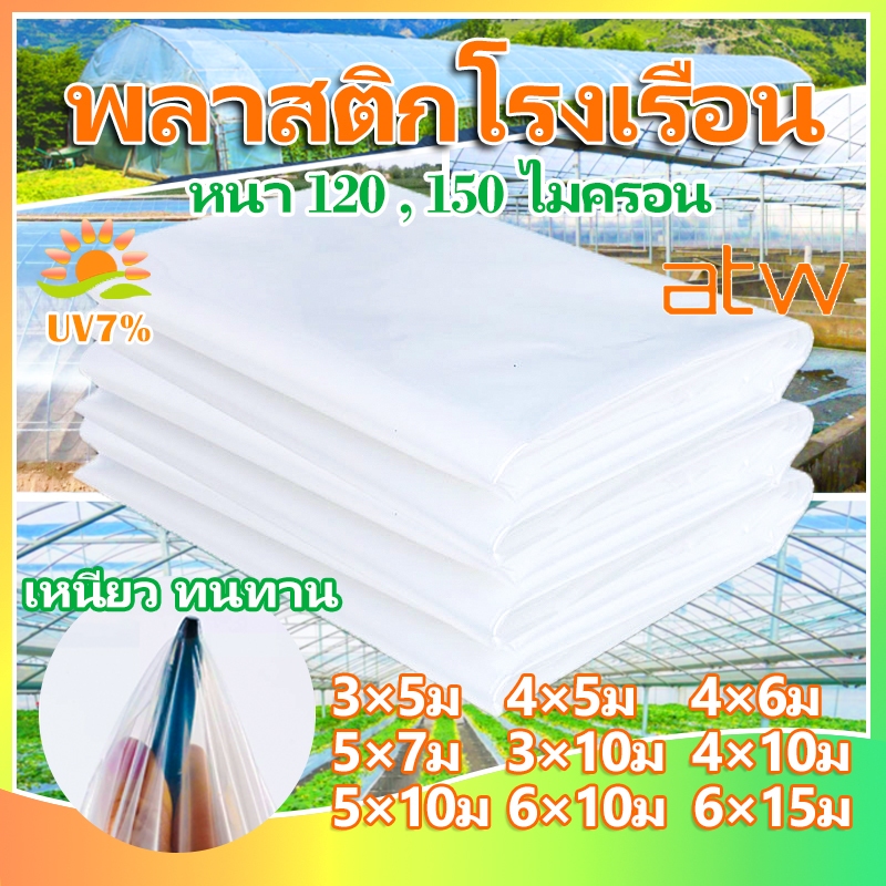 ฟิล์มPE Green House พลาสติกคลุมโรงเรือน พลาสติกใส คลุมหลังคากันสาด กันฝน สีใส ขนาด3x5 4x10 6x15ม. หนา130 Field selection