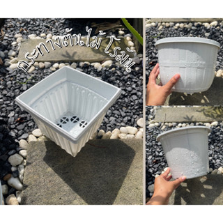 กระถางต้นไม้ทรงโรมัน 8.5 , 10นิ้ว🌼🌻