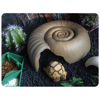 [ส่งด่วน] Nomoy Pet Shell Cave ถ้ำฟอสซิลหอย S/M/L ที่ซ่อนสัตว์เลื้อยคลาน งู ตุ๊กแก กิ้งก่า กบ DSMXO