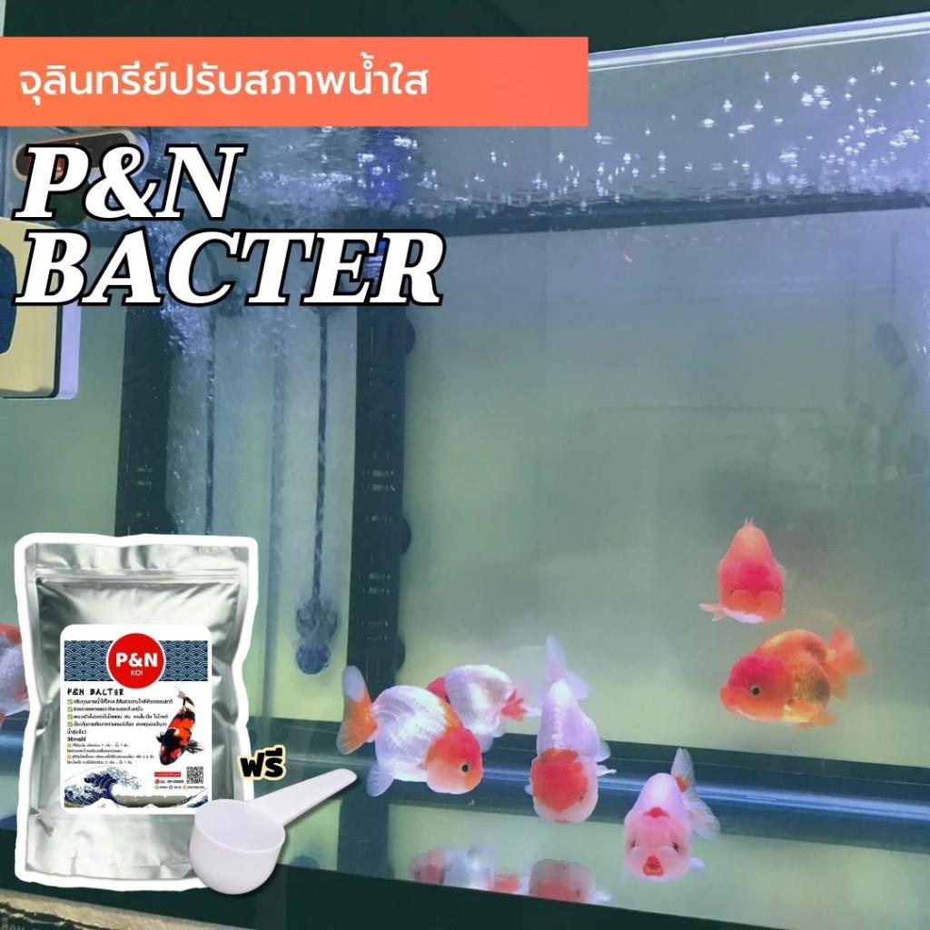 จุลินทรีย์ปรับสภาพน้ำใส P&N Bacter