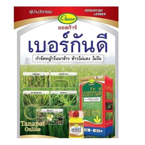 เบอร์กันดี100กรัม.เป็นยาฆ่าหญ้าในนาข้าว กำจัดได้ทั้งวัชพืชใบแคบ เช่น หญ้าข้าวนก หญ้าแดง และวัชพืชใบกว้าง