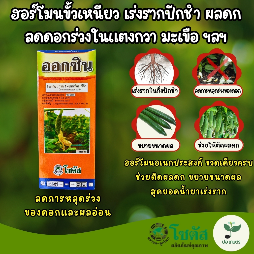 ออกซิน (100 มล.) [กรดแนฟทิลอะซีติก] ฮอร์โมนขั้วเหนียว เร่งรากปักชำ ช่วยติดผลดก ลดดอกร่วงในแตงกวา มะเขือ ฯลฯ