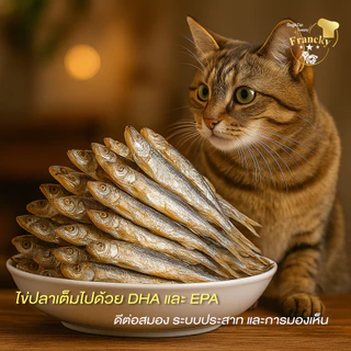 🐟 ปลาไข่ฟรีซดราย Francky ทานได้ทั้งตัว แคลเซียมเสริมกระดูก โปรตีนสูง บำรุงขนสวย สำหรับสุนัขและแมว