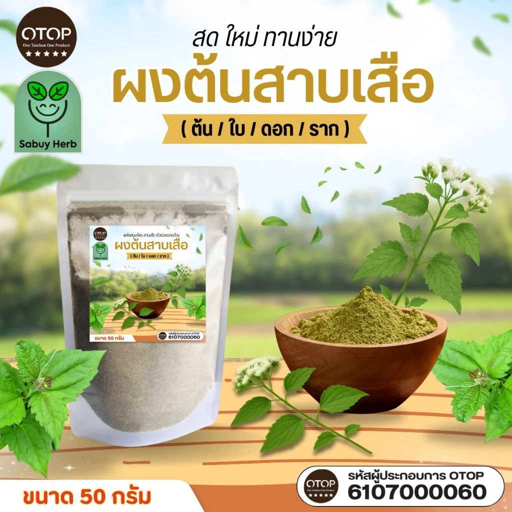 🔥ออกใบกำกับภาษีได้📌 ผงต้นสาบเสือบด สาบเสือผง บดผงแท้100% (สินค้าOTOP) (ขนาด50กรัม)