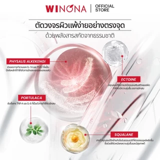 Winona เซรั่มปรับผิวใส รอยแดง สูตรอ่อนโยน Serum Essence เกราะป้องกันผิวให้เฟิร์มขึ้นใน 24 ชั่วโมง วิโนน่า เซรั่ม 30ml