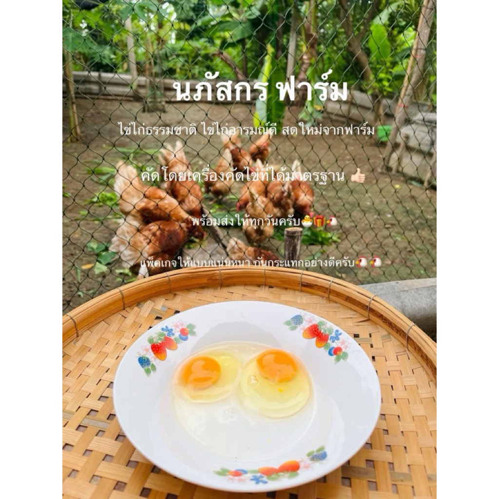 ไข่ไก่ 30ฟอง เบอร์0 จัดส่งฟรี รูปที่ 4