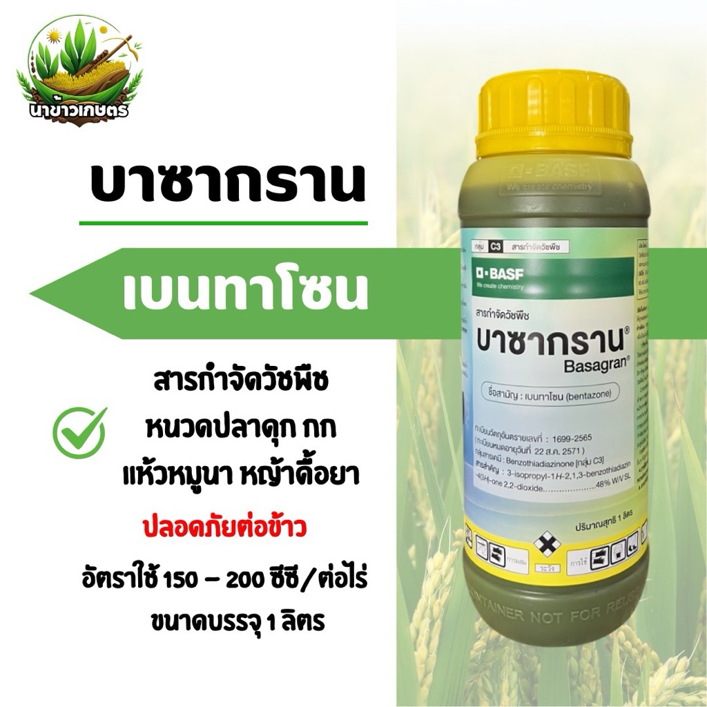 บาซากราน (เบนทาโซน) 1ลิตร กำจัดวัชพืช หนวดปลาดุก กก แห้วหมูนา ปลอดภัยต่อข้าว